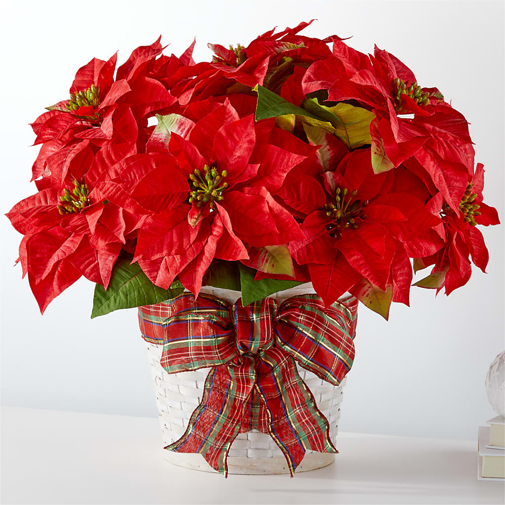 Happiest Holidays Poinsettia – Beaver Creek Florist, Markham ON