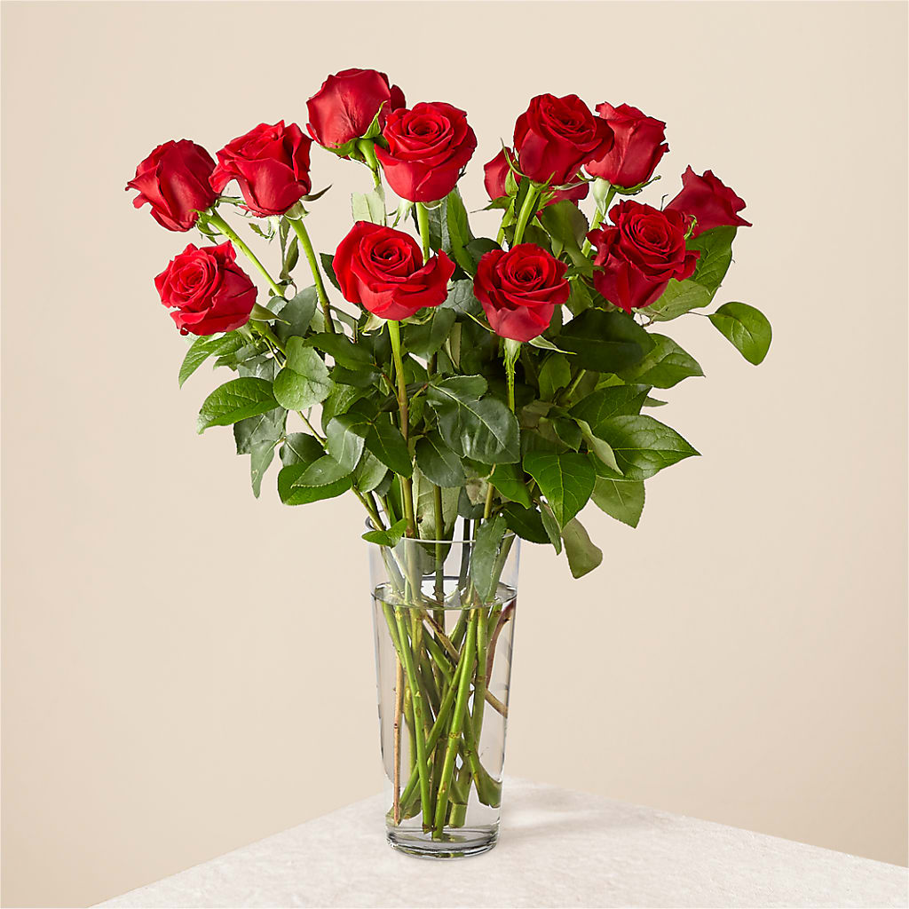 Long Stem Red Rose Bouquet – Beaver Creek Florist, Markham ON