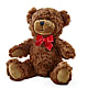 Adorable Plush Bear – Beaver Creek Florist, Markham ON