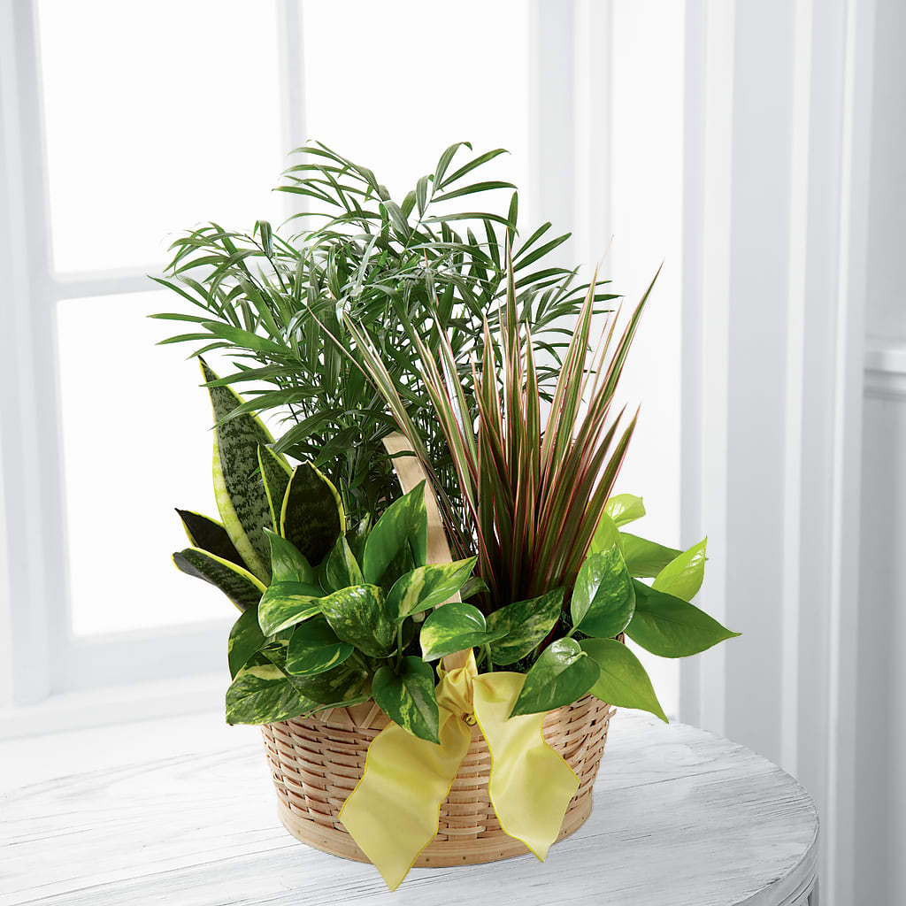 French Garden – Beaver Creek Florist, Markham ON