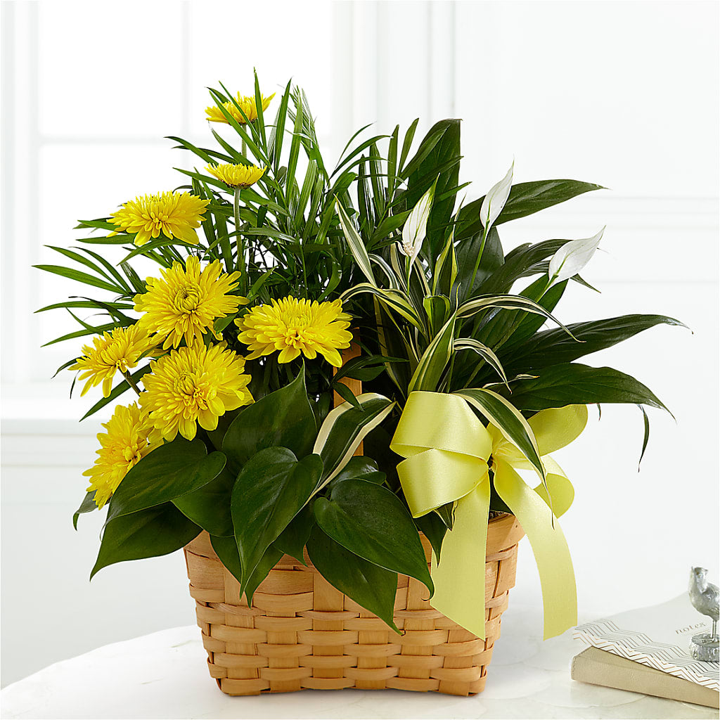 Loving Light Dishgarden – Beaver Creek Florist, Markham ON