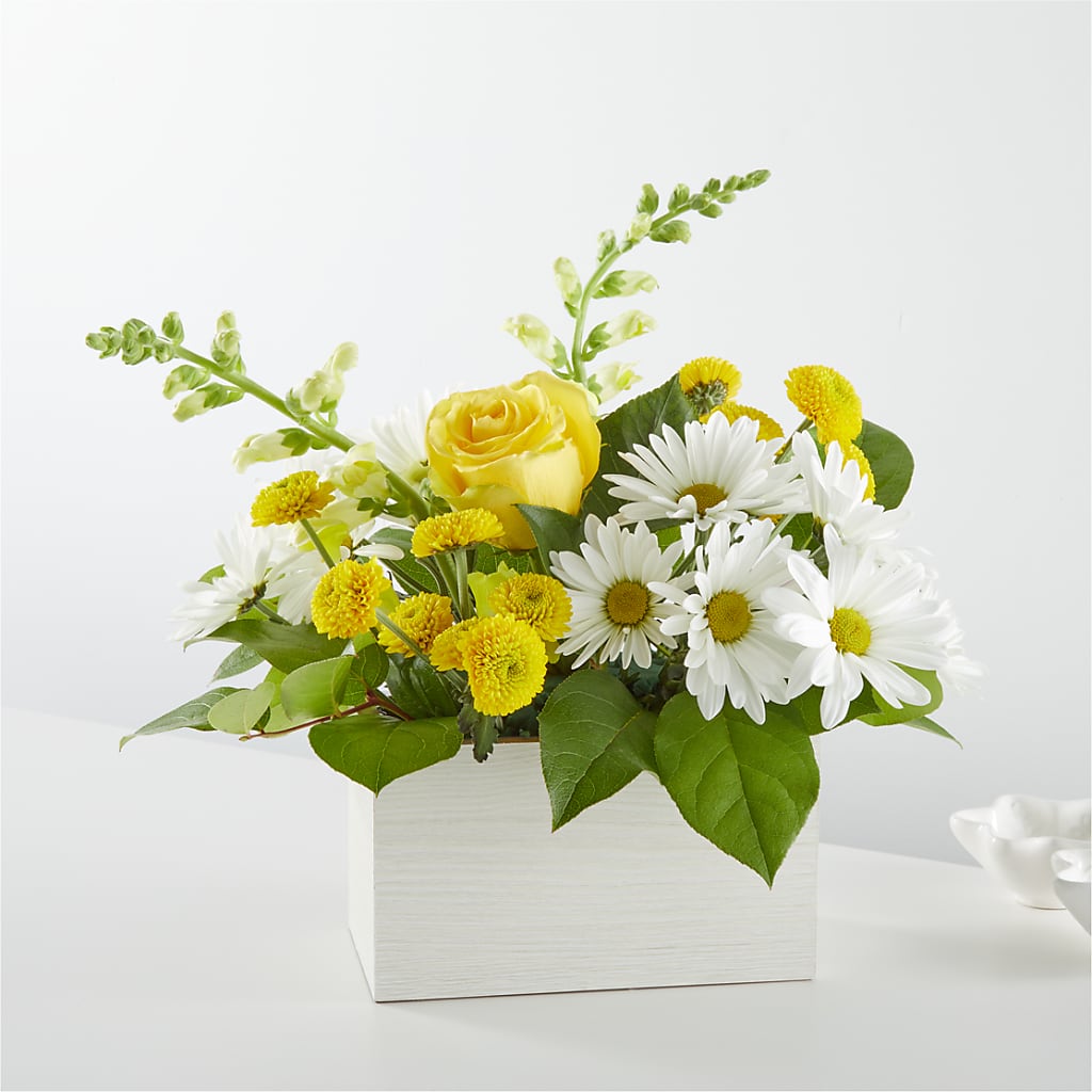 Sun Salutation Box Bouquet – Beaver Creek Florist, Markham ON