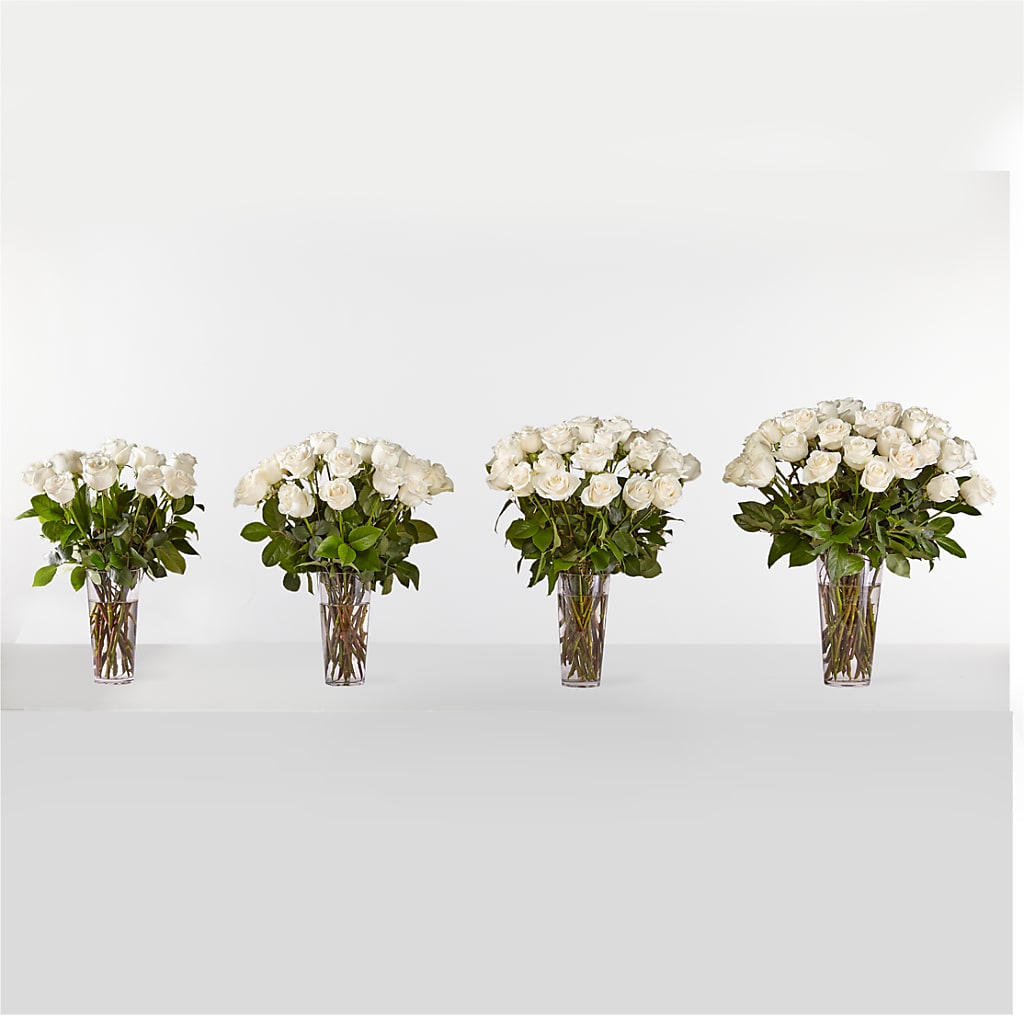 Long Stem White Rose Bouquet – Beaver Creek Florist, Markham ON