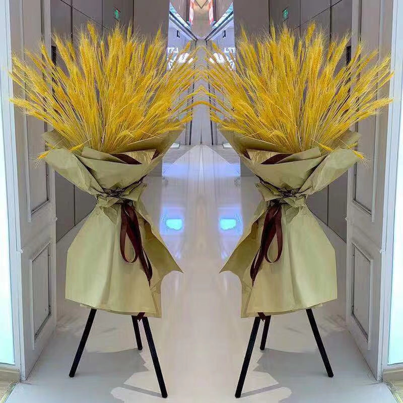 Golden Harvest Duo(大麦)