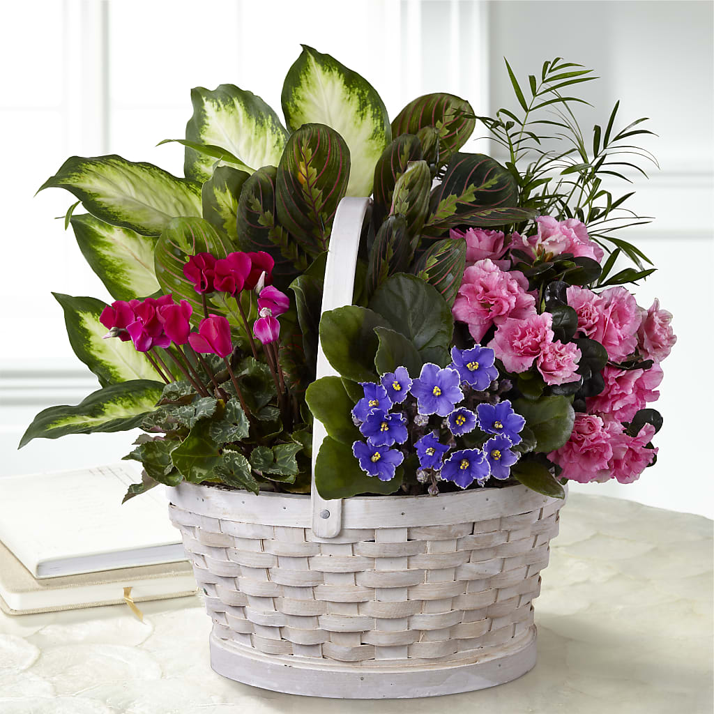Peaceful Garden Planter – Beaver Creek Florist, Markham ON