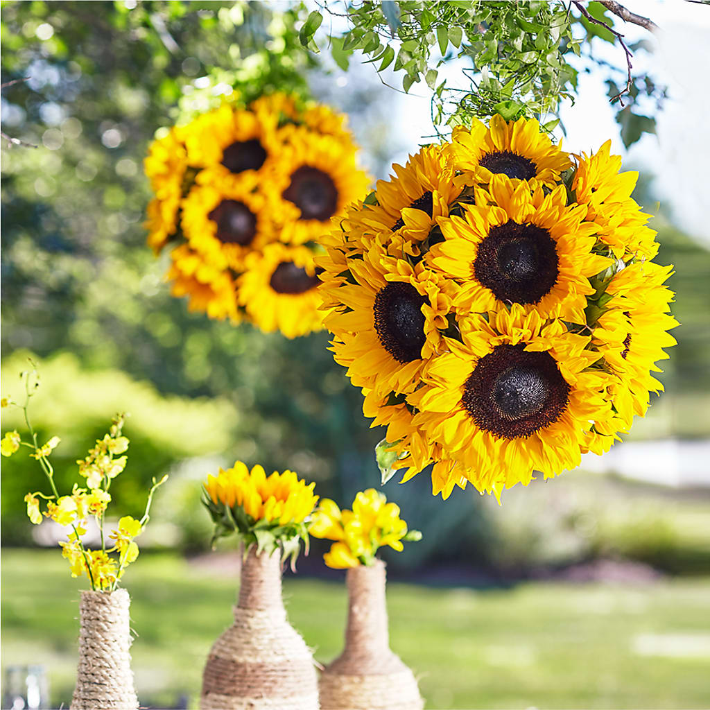 Sublime Garden Hanging Arrangement – Beaver Creek Florist, Markham ON