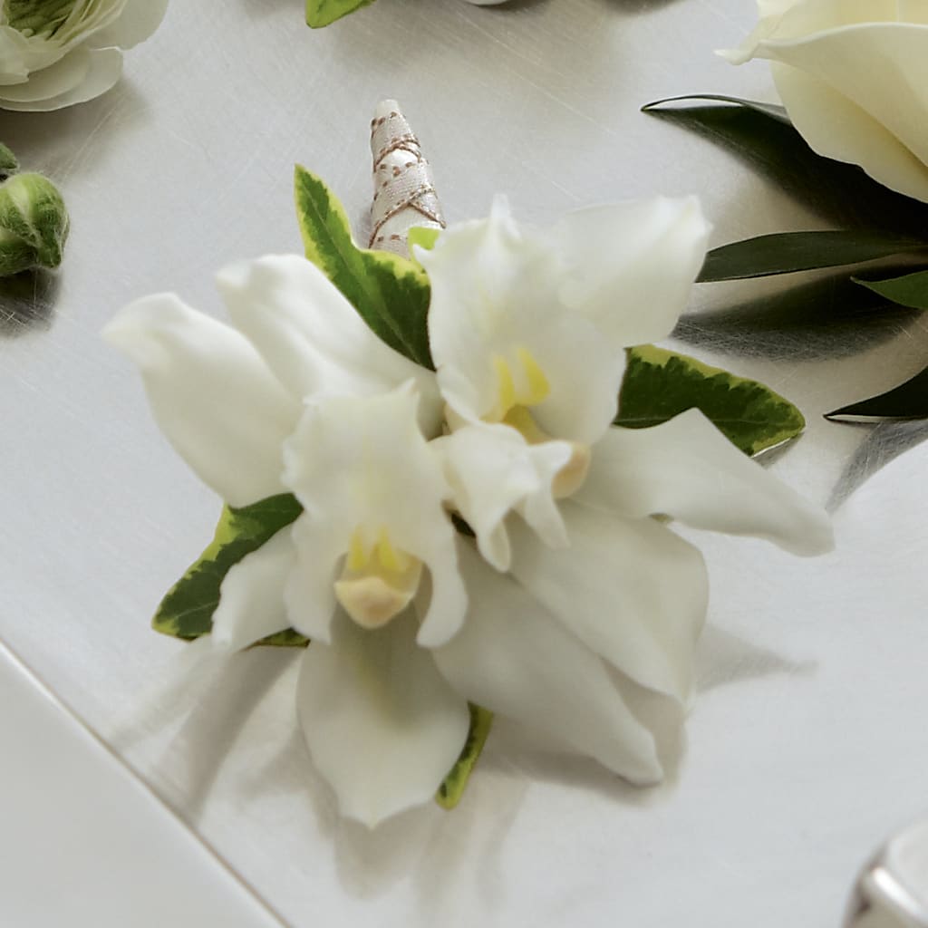 White Mini Cymbidium Boutonniere – Beaver Creek Florist, Markham ON