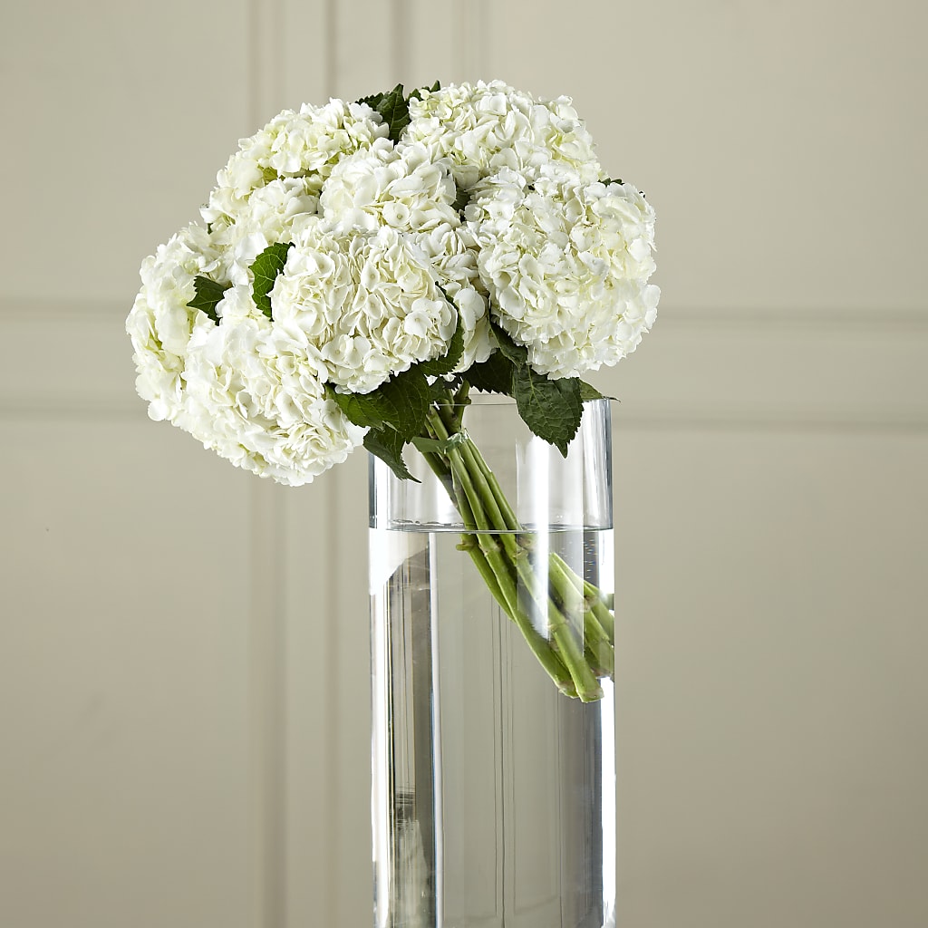 White Hydrangea Hand-Tied Bouquet – Beaver Creek Florist, Markham ON
