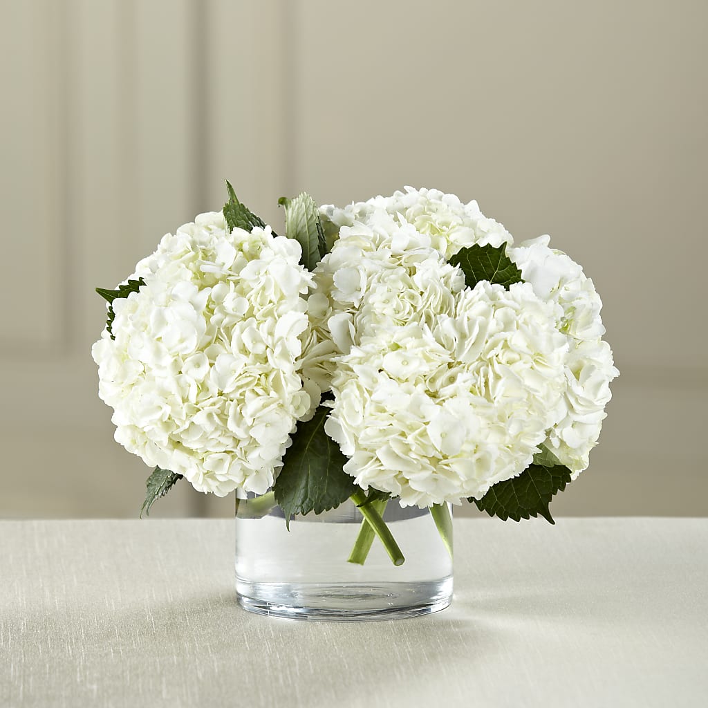 White Hydrangea Bouquet – Beaver Creek Florist, Markham ON