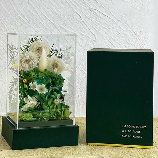 Acrylic Bloom Box