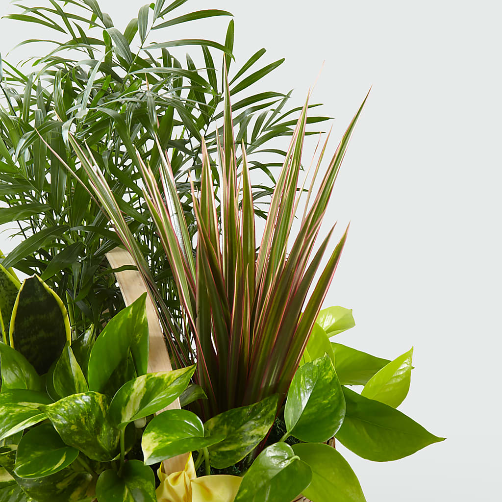 French Garden –  Beaver Creek Florist, Markham ON