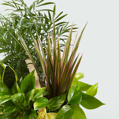 French Garden –  Beaver Creek Florist, Markham ON
