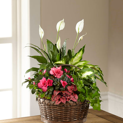 Dream in Pink Dishgarden –  Beaver Creek Florist, Markham ON