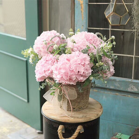 Cotton Bloom