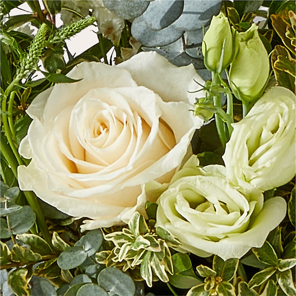 Cashmere Bouquet –  Beaver Creek Florist, Markham ON