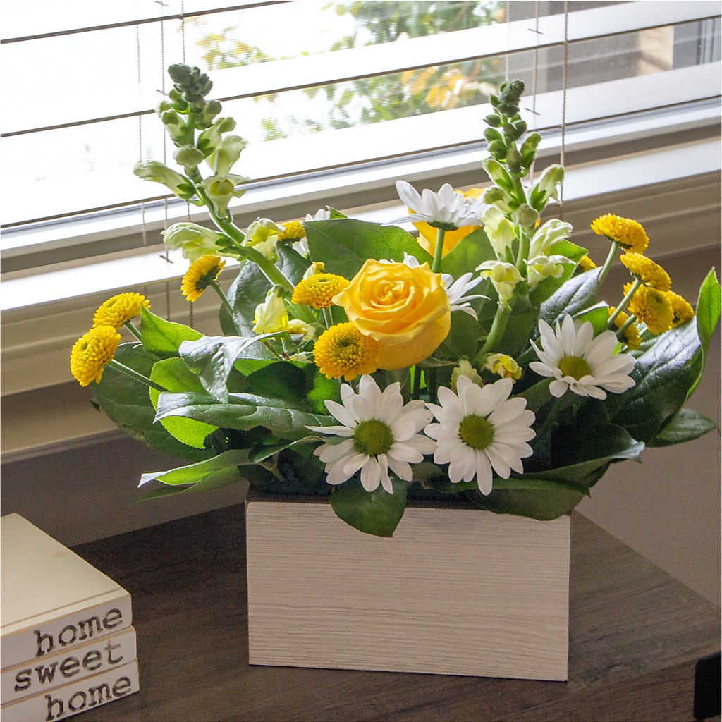Sun Salutation Box Bouquet –  Beaver Creek Florist, Markham ON