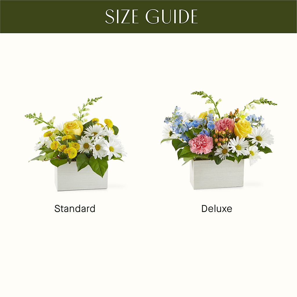 Sun Salutation Box Bouquet –  Beaver Creek Florist, Markham ON