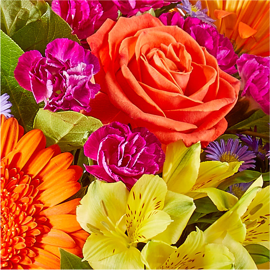 Tricks & Treats Pumpkin –  Beaver Creek Florist, Markham ON