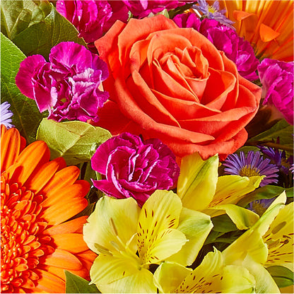 Tricks & Treats Pumpkin –  Beaver Creek Florist, Markham ON