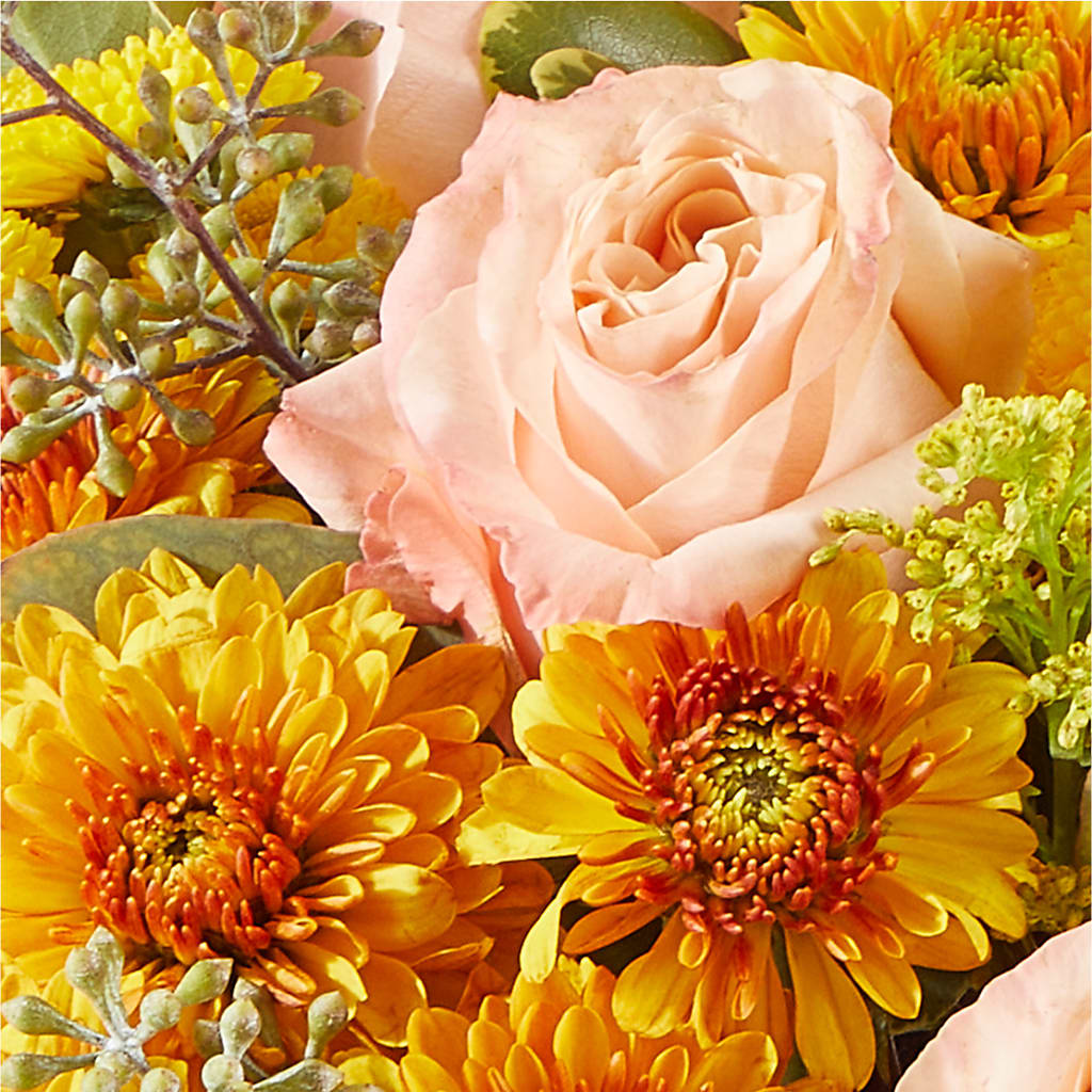 Peachy Pumpkin –  Beaver Creek Florist, Markham ON
