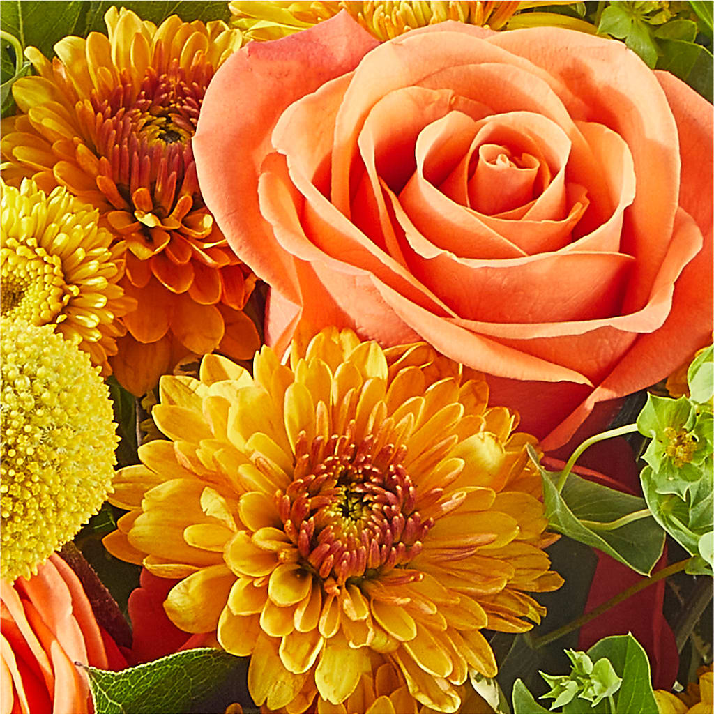 Gourdgeous Pumpkin –  Beaver Creek Florist, Markham ON
