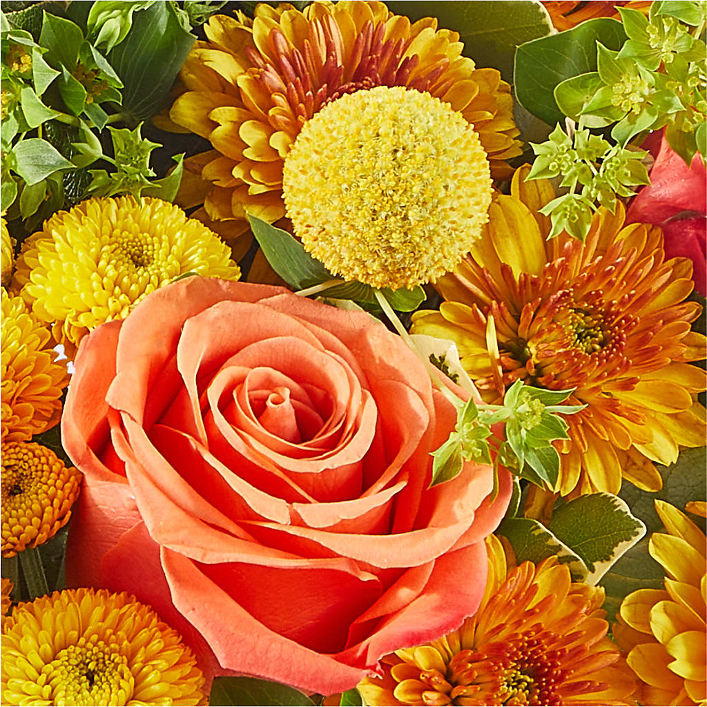 Gourdgeous Pumpkin –  Beaver Creek Florist, Markham ON