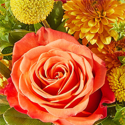 Gourdgeous Pumpkin –  Beaver Creek Florist, Markham ON