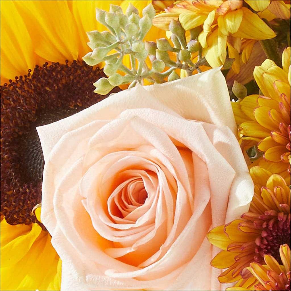 Pumpkin to Talk About Bouquet –  Beaver Creek Florist, Markham ON