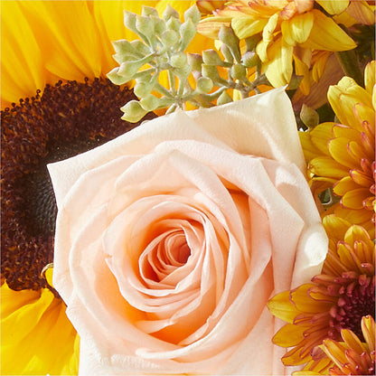 Pumpkin to Talk About Bouquet –  Beaver Creek Florist, Markham ON