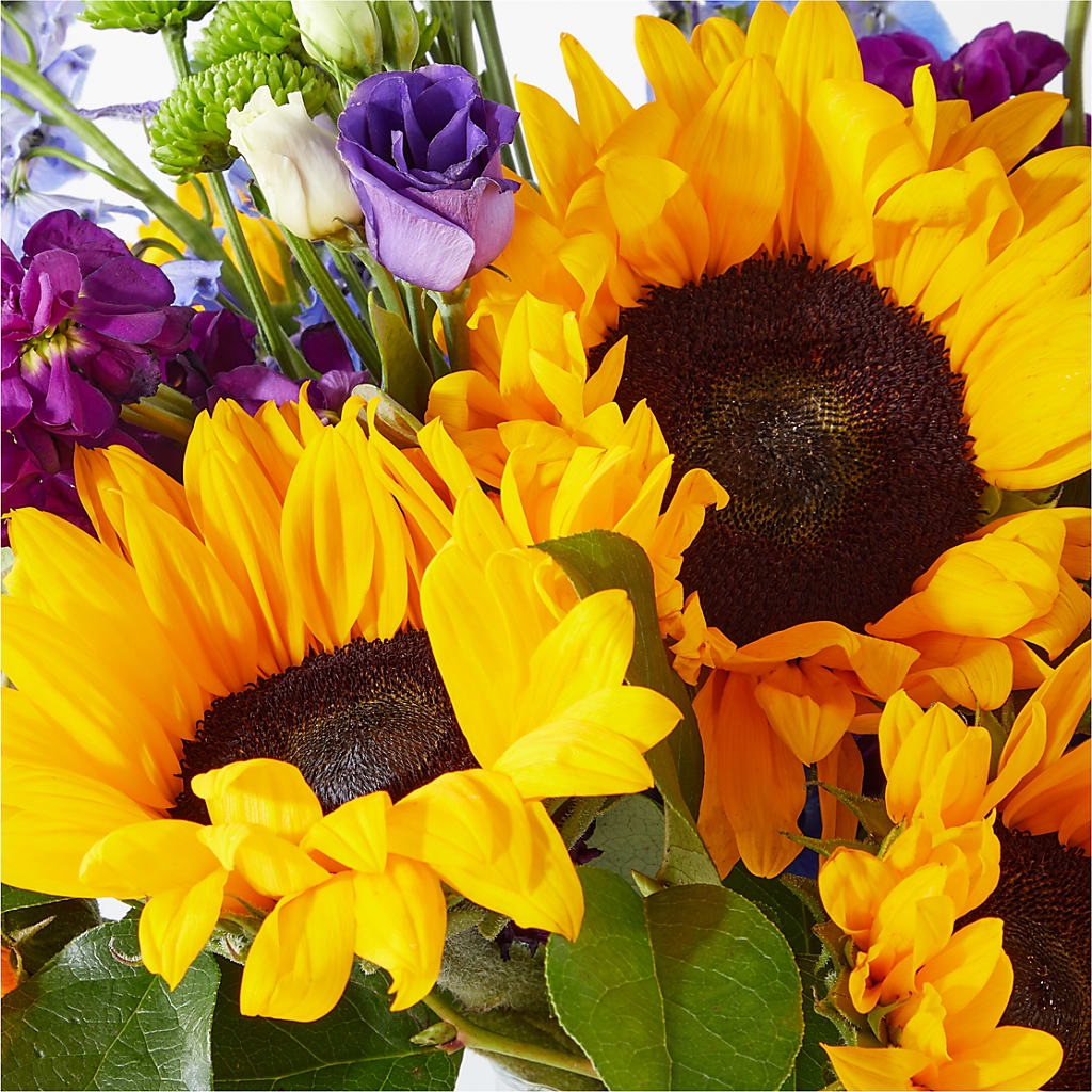 Catching Rays Bouquet –  Beaver Creek Florist, Markham ON