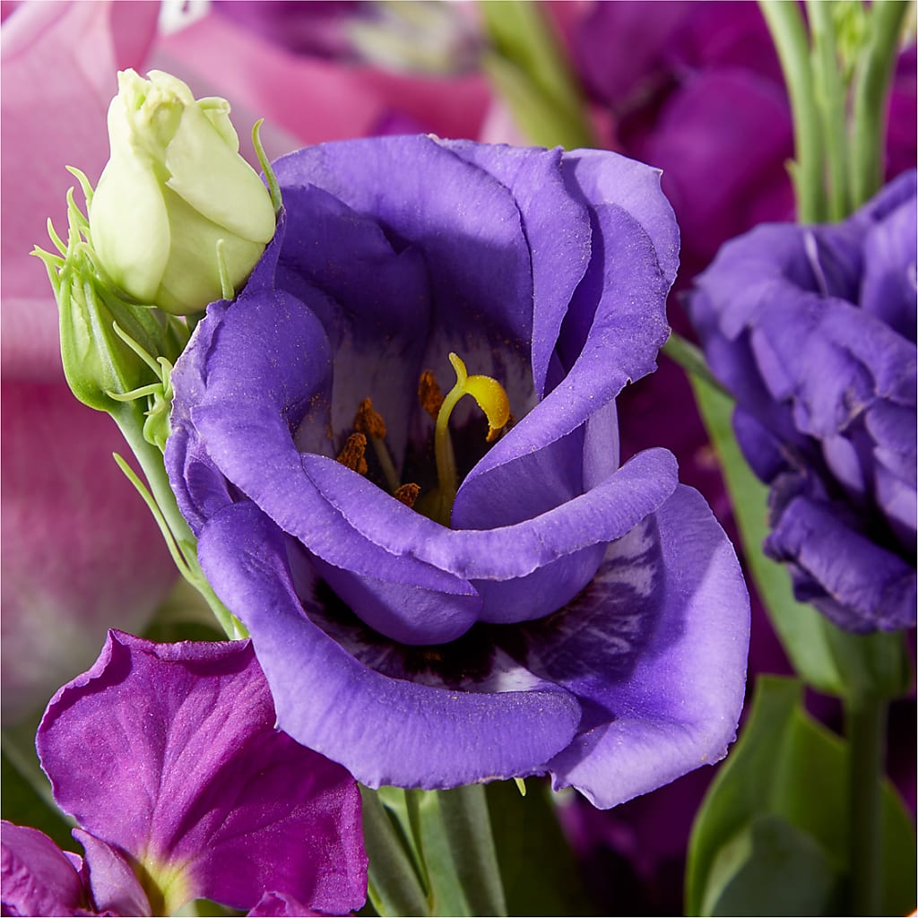 Twilight Glow Bouquet –  Beaver Creek Florist, Markham ON