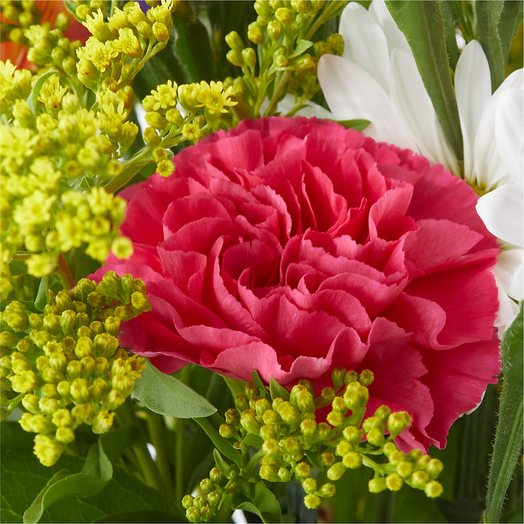 Oopsie Daisy Bouquet –  Beaver Creek Florist, Markham ON