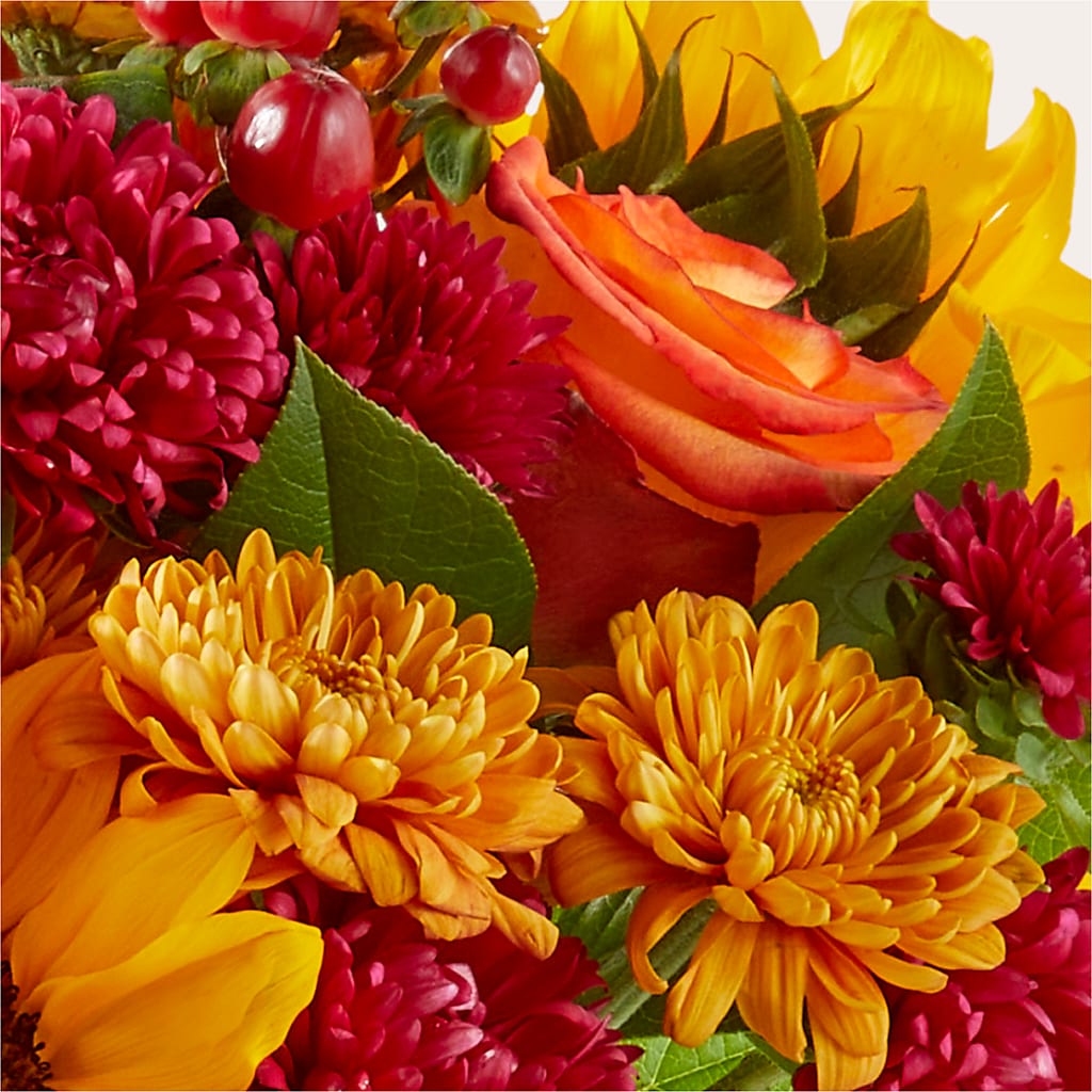 Sweater Season - A Florist Original –  Beaver Creek Florist, Markham ON