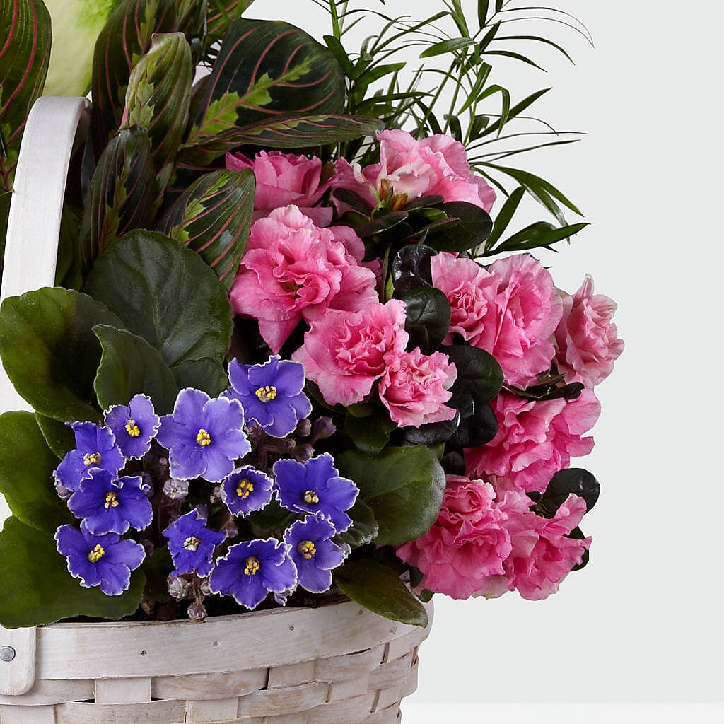 Peaceful Garden Planter –  Beaver Creek Florist, Markham ON