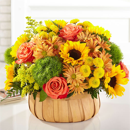 Harvest Sunflower Basket –  Beaver Creek Florist, Markham ON