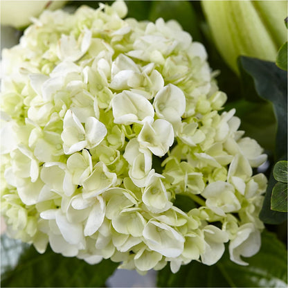 Classic Ivory – A Florist Original –  Beaver Creek Florist, Markham ON