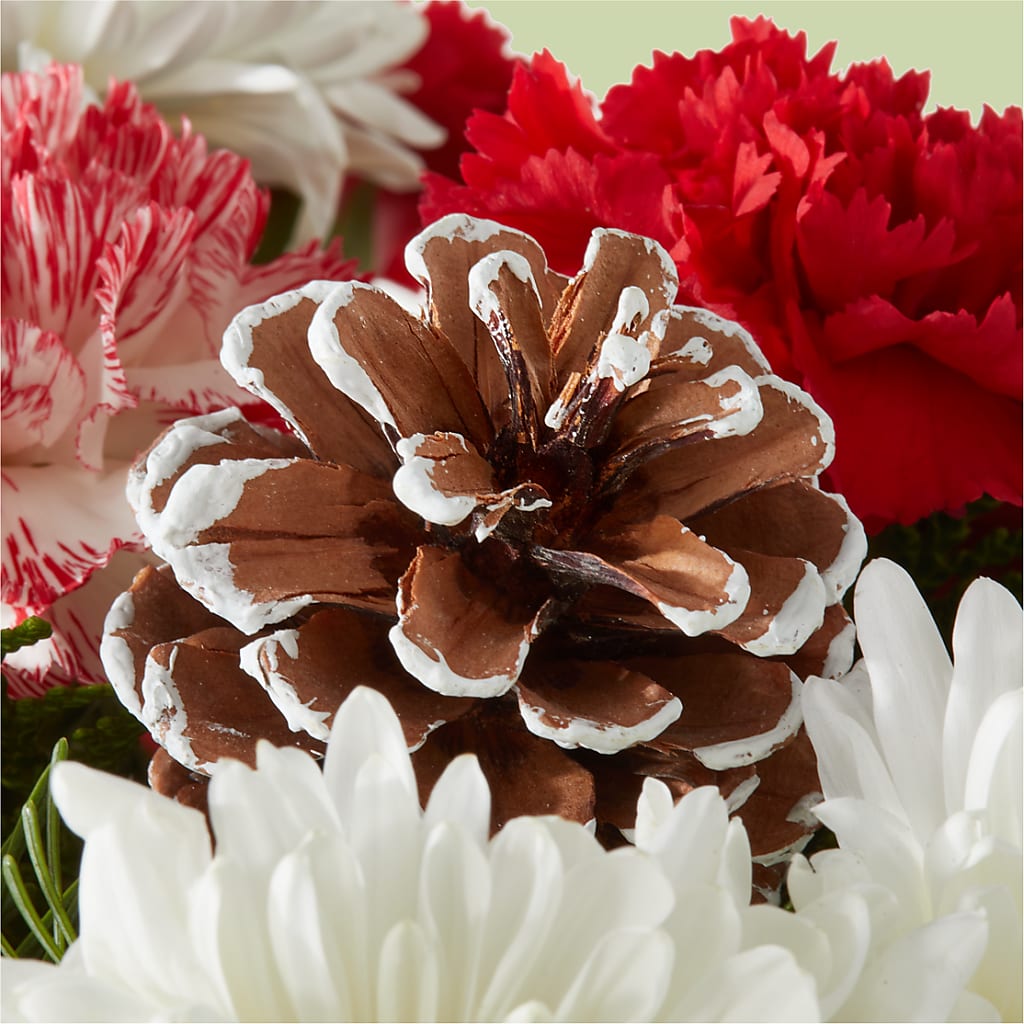 Candy Cane Lane Bouquet –  Beaver Creek Florist, Markham ON