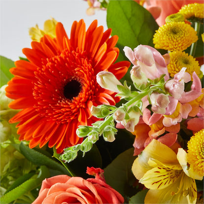 Autumn Sunshine Bouquet –  Beaver Creek Florist, Markham ON