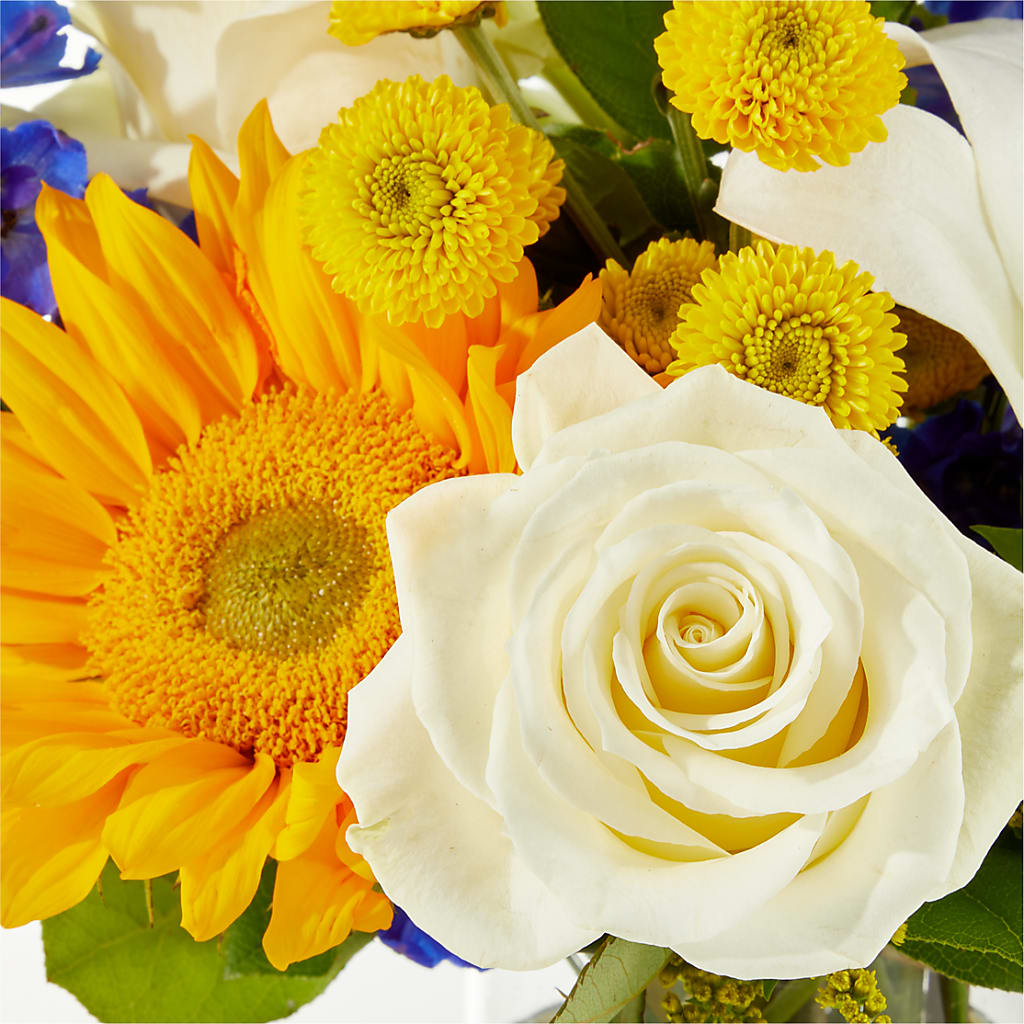 Stargazing Bouquet –  Beaver Creek Florist, Markham ON