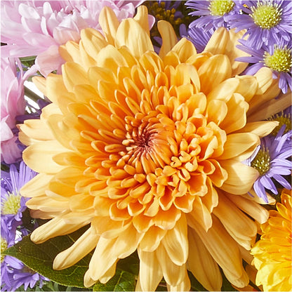Countryside Bouquet –  Beaver Creek Florist, Markham ON