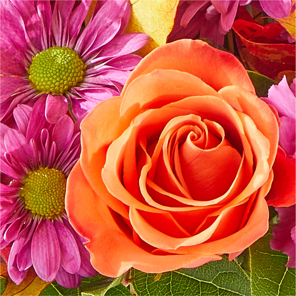Mum's the Word Bouquet –  Beaver Creek Florist, Markham ON