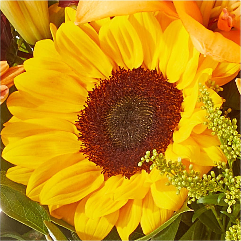 Seasons Change Bouquet –  Beaver Creek Florist, Markham ON