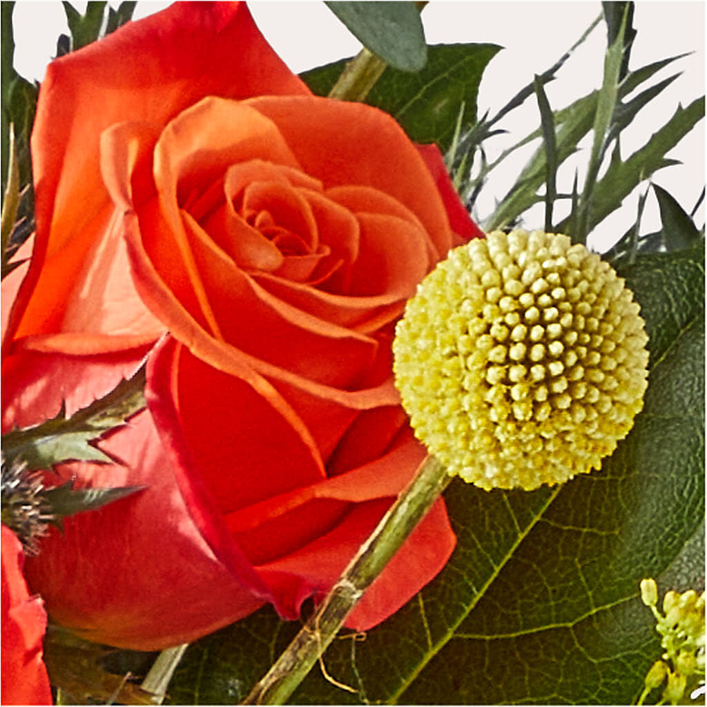 Disco Bouquet –  Beaver Creek Florist, Markham ON