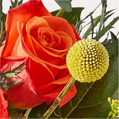 Disco Bouquet –  Beaver Creek Florist, Markham ON