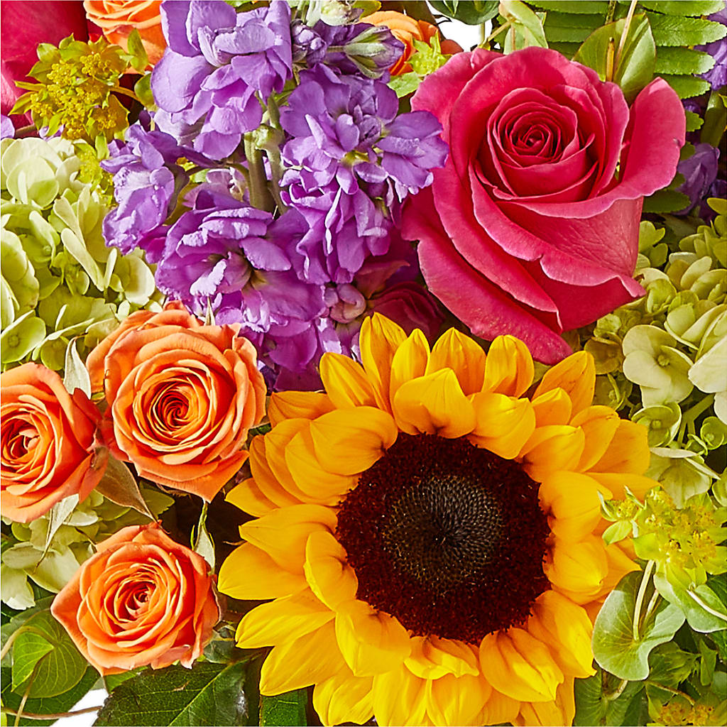 Vibrant Greetings Bouquet –  Beaver Creek Florist, Markham ON
