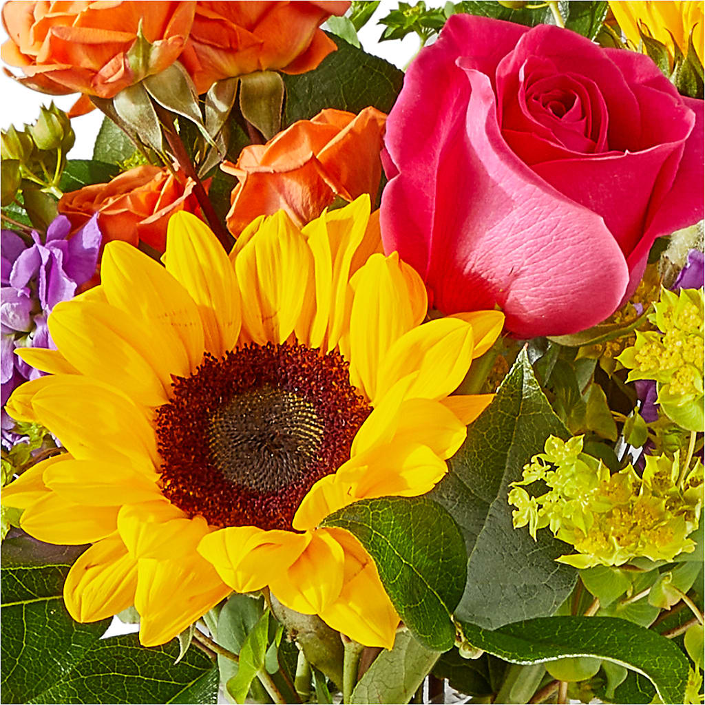Vibrant Greetings Bouquet –  Beaver Creek Florist, Markham ON
