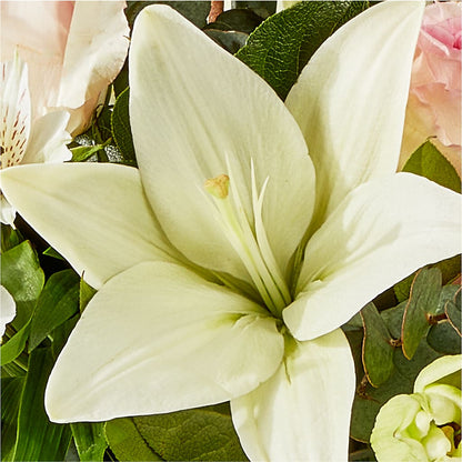 Ballet Slippers Bouquet –  Beaver Creek Florist, Markham ON