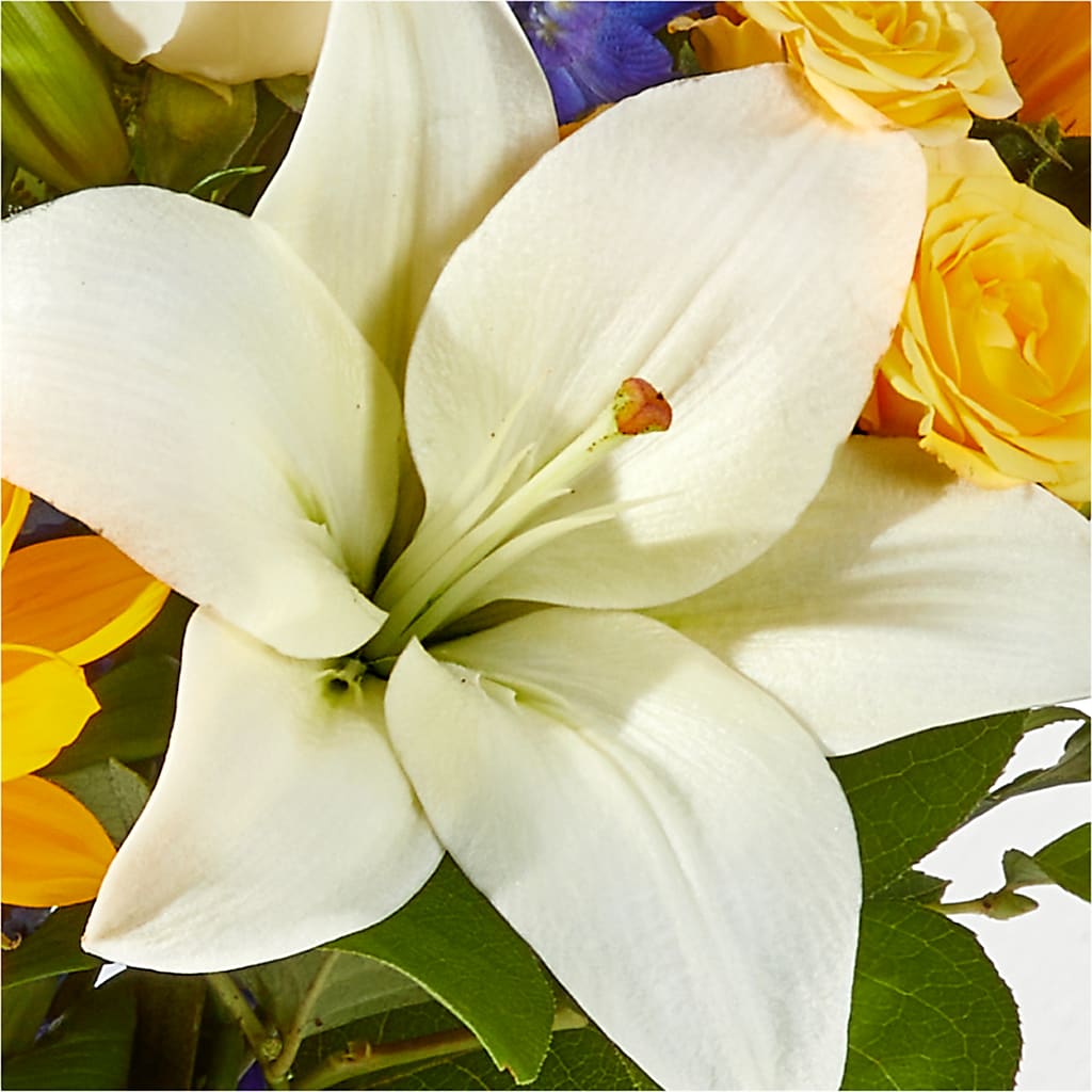 Wonderfully Sunny Bouquet –  Beaver Creek Florist, Markham ON