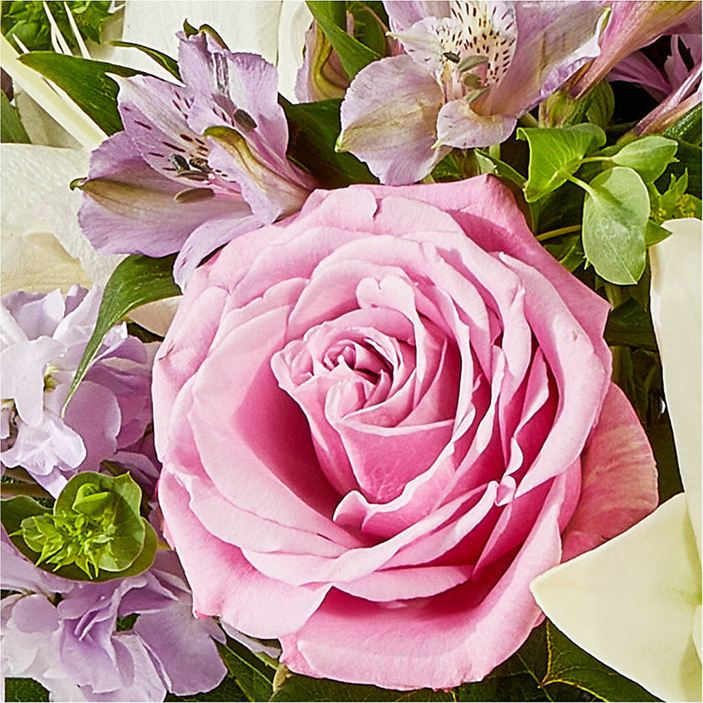 Daydreamer Bouquet –  Beaver Creek Florist, Markham ON