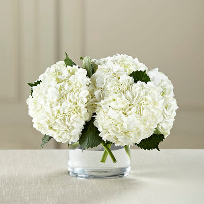 White Hydrangea Bouquet –  Beaver Creek Florist, Markham ON